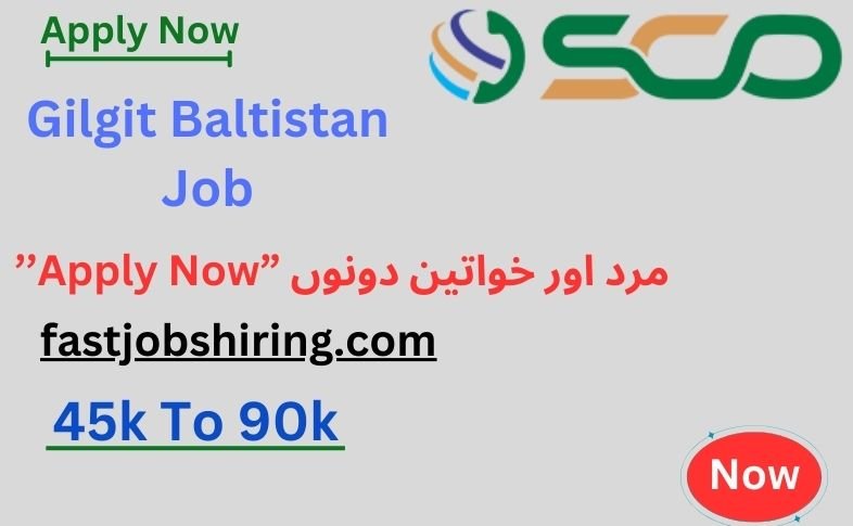 Gilgit Baltistan Job