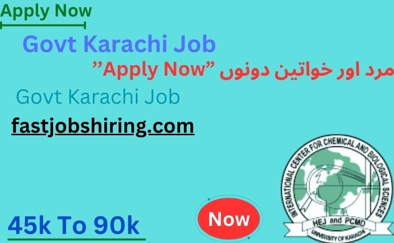 Govt Karachi Job